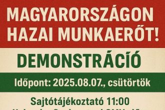 Mi Hazánk DEmonstráció